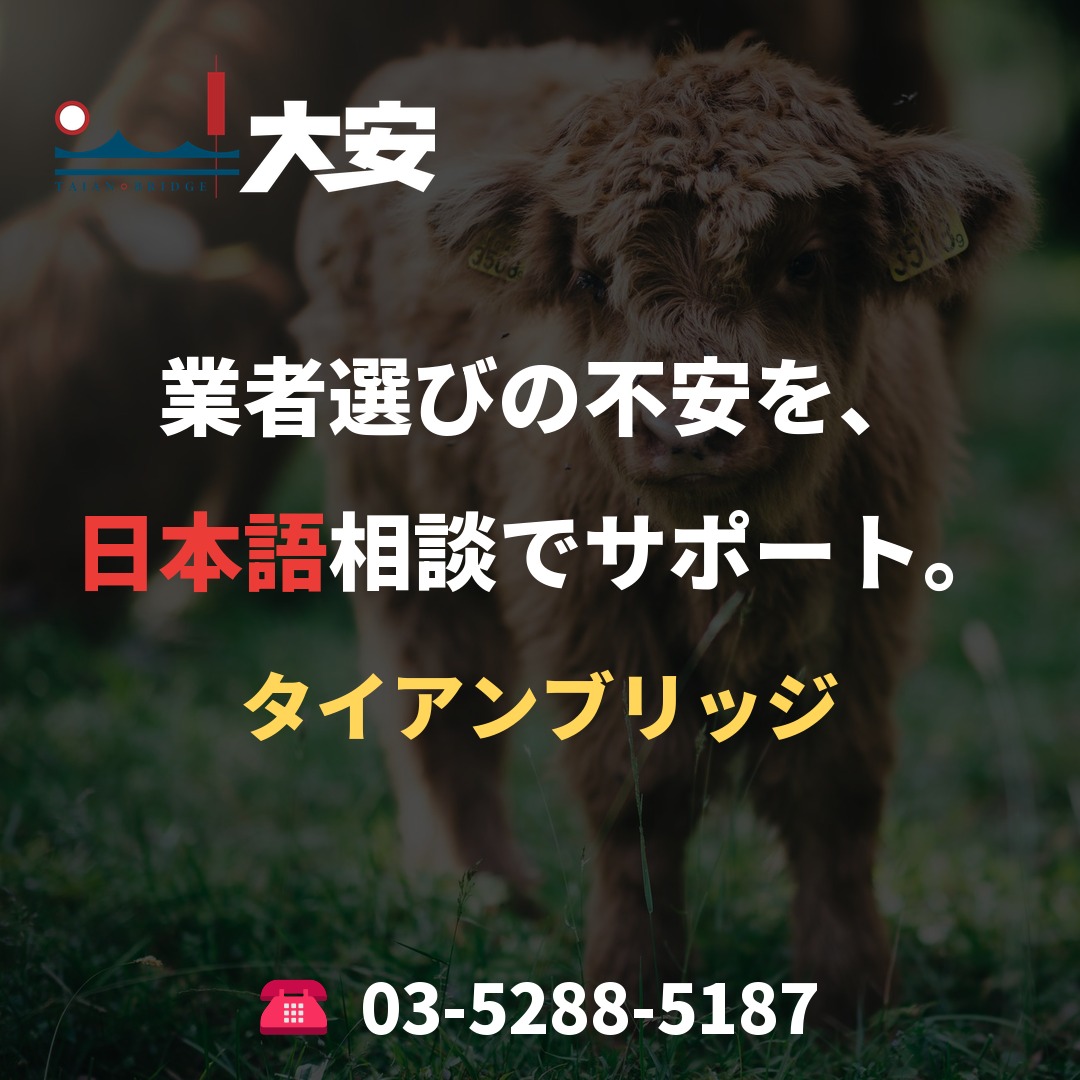 業者選びの不安を、日本語相談でサポート。｜タイアンブリッジ